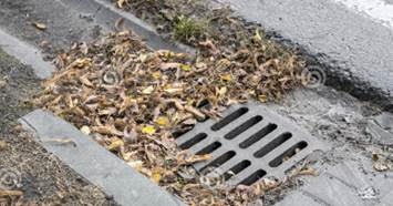 A storm drain partially covered with dry leaves on a street.