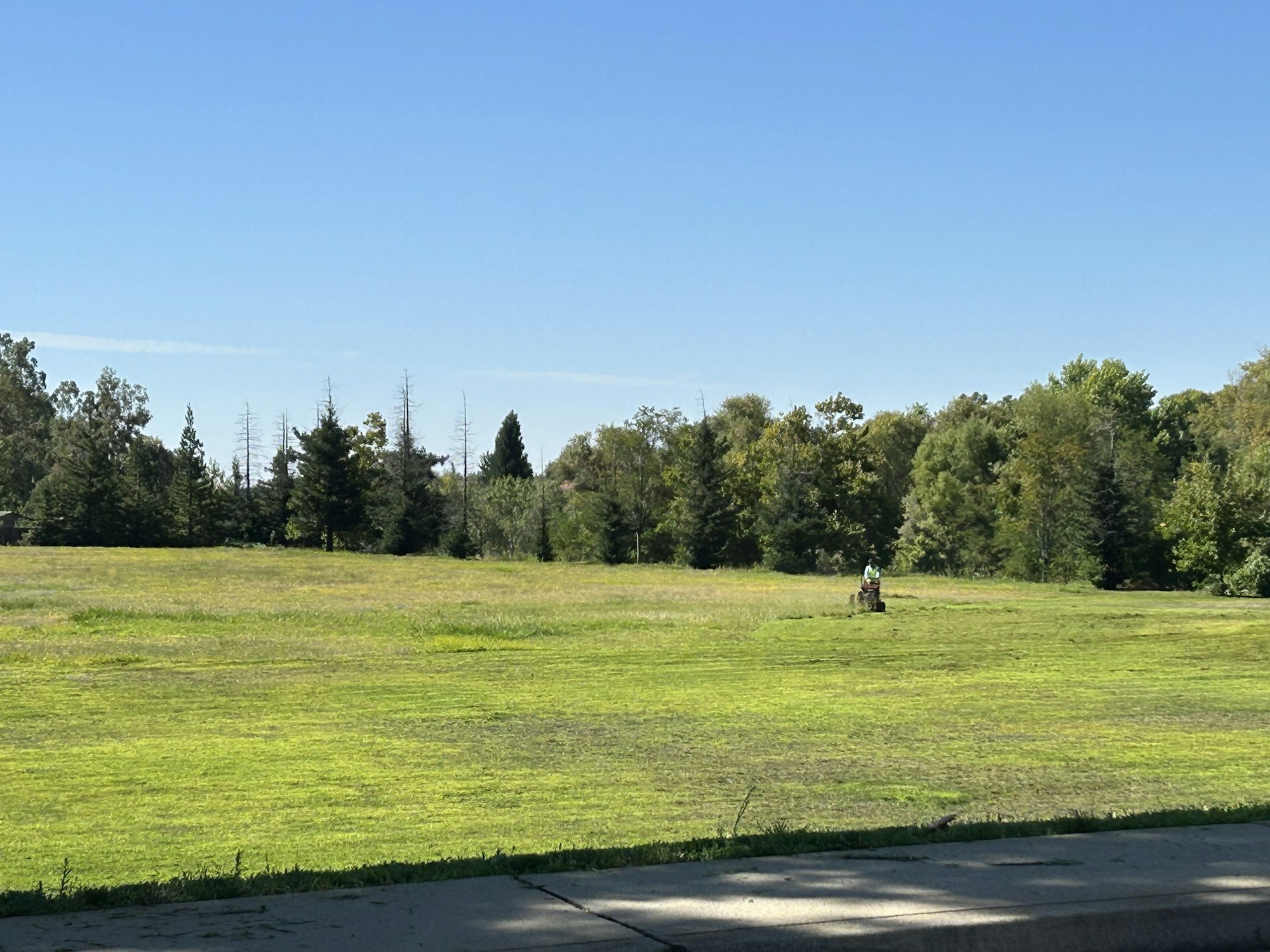 A person is mowing a large grassy field surrounded by trees under a clear blue sky.