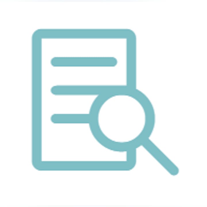 Icon: magnifying glass over a document