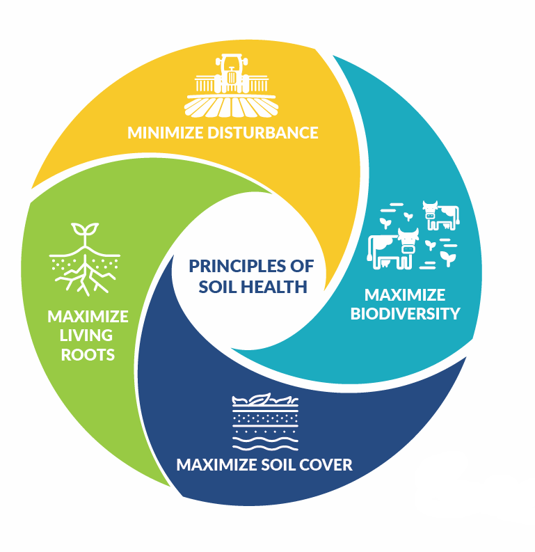 Image of a chart or logo: Principles of soil health