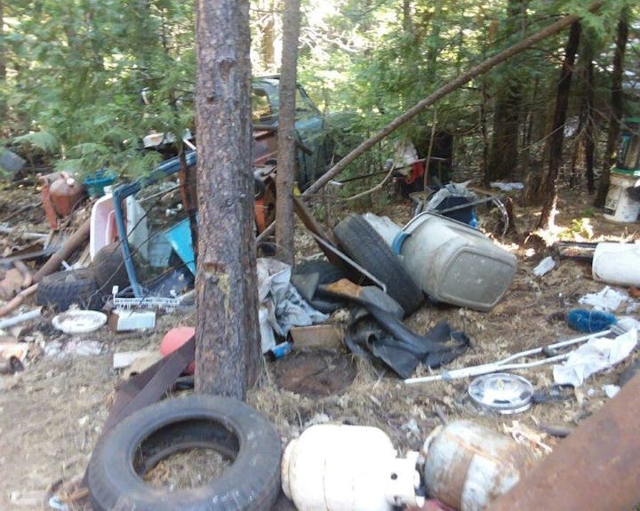 A cluttered forest area with old tires, barrels, debris, and assorted junk scattered among the trees.