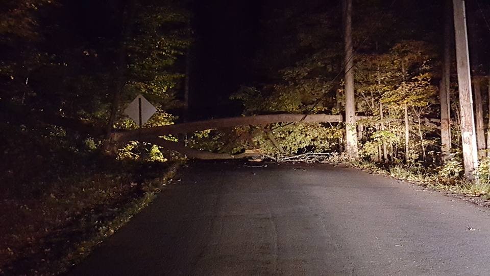 A fallen tree blocking a nighttime road with illuminated surroundings.
