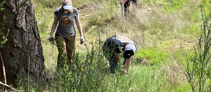 Two people working outdoors, possibly doing environmental clean-up or gardening.