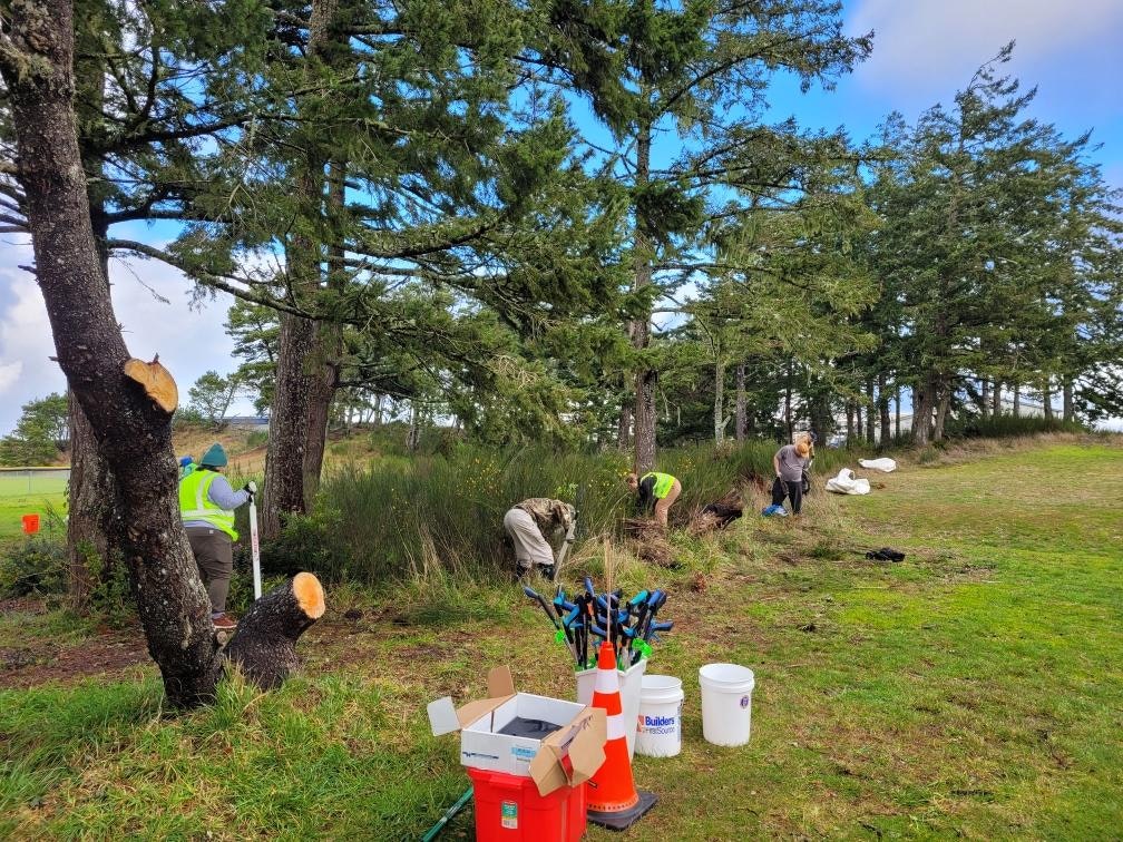 OBAB Volunteers working in Airport Heights Park, clearing invasive species Scotch Broom at a recent clean up cleanup.