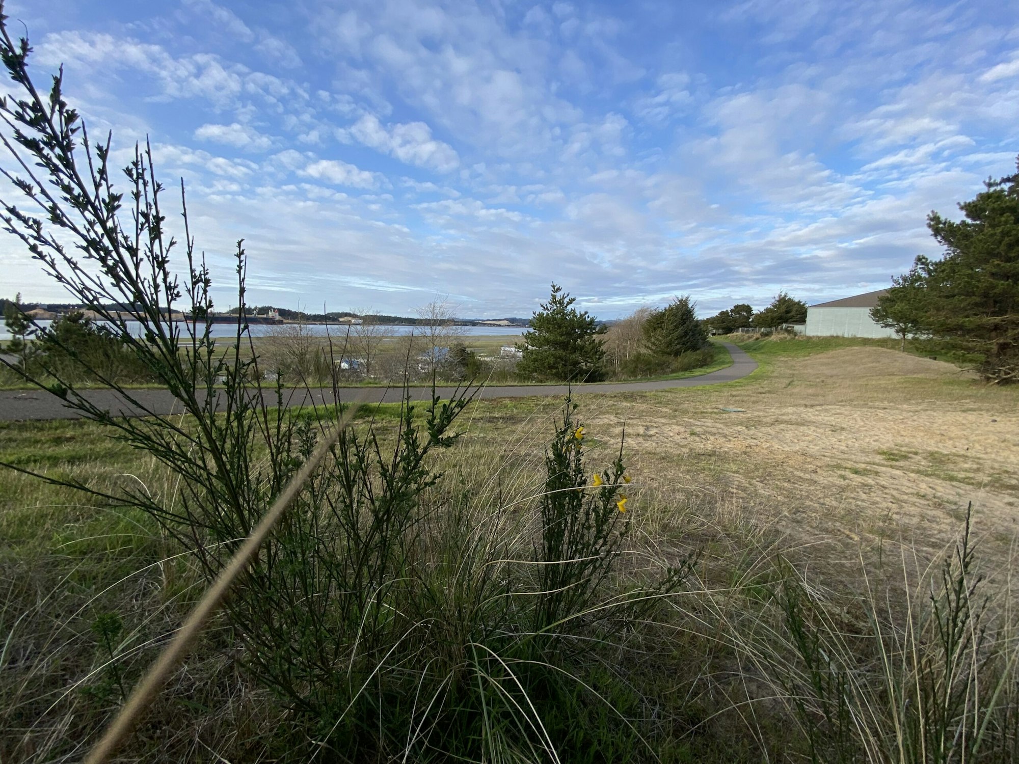 A scenic outdoor area with grass, a path, trees, water in the distance, and a blue sky with clouds.
