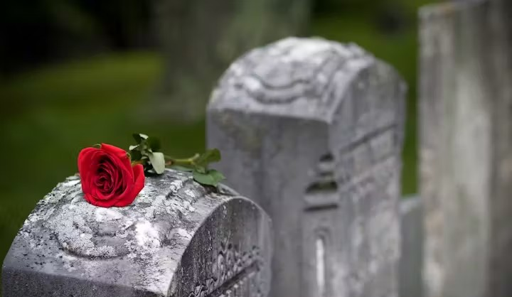 A red rose placed on an old, weathered gravestone in a cemetery.