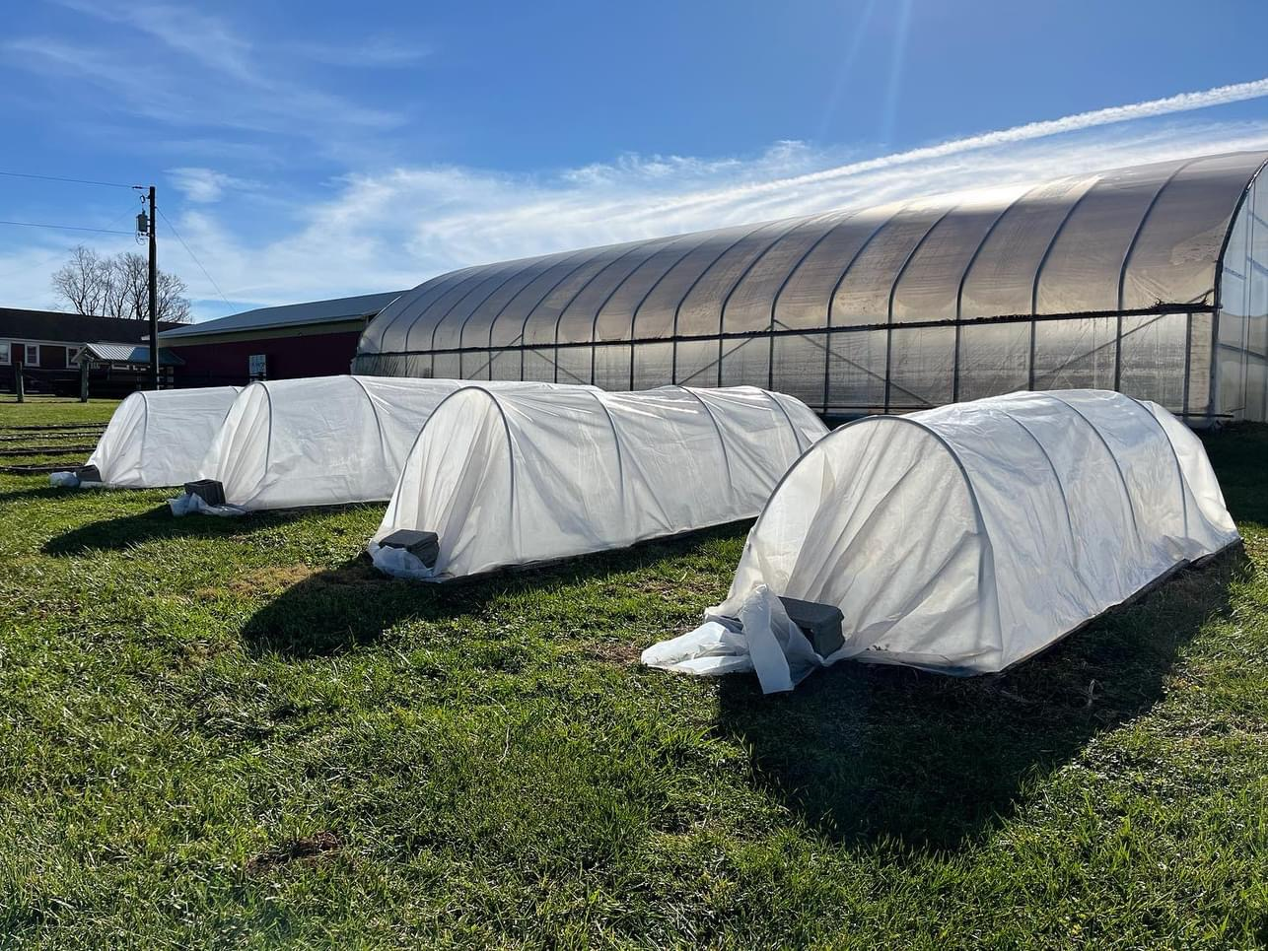 May contain: architecture, building, outdoors, shelter, garden, nature, gardening, and tent