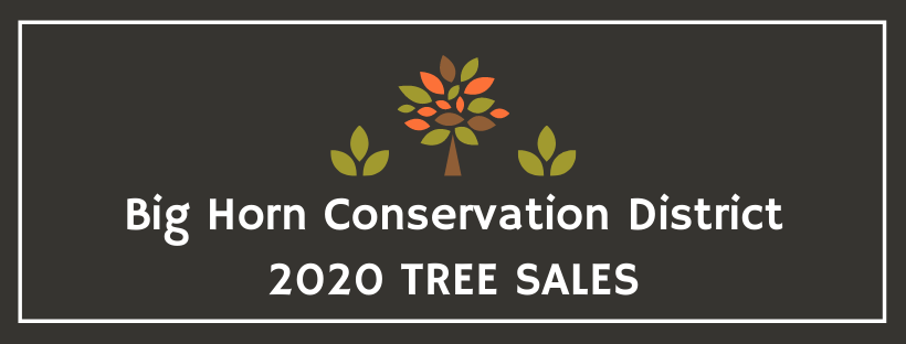 Image reading Big Horn Conservation District 2020 Tree Sales