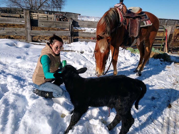 Photo of Kylie Martin District Manager of Big Horn Conservation District