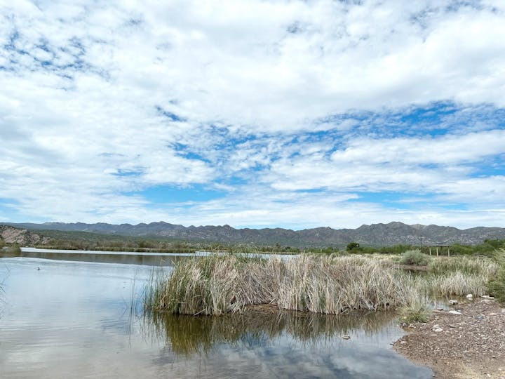 A calm lake with reeds, surrounded by mountains under a mostly cloudy sky.