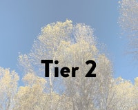 Trees against a clear blue sky with the text "Tier 2" overlaid.