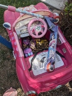 A pink toy car with stagnate water in the bottom congaing Aedes egypti larvae
