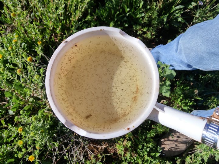 May contain: egg, food, and bowl