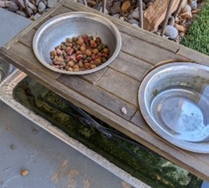 Two metal pet bowls on a wooden stand; one filled with kibble, the other empty, above a water basin.