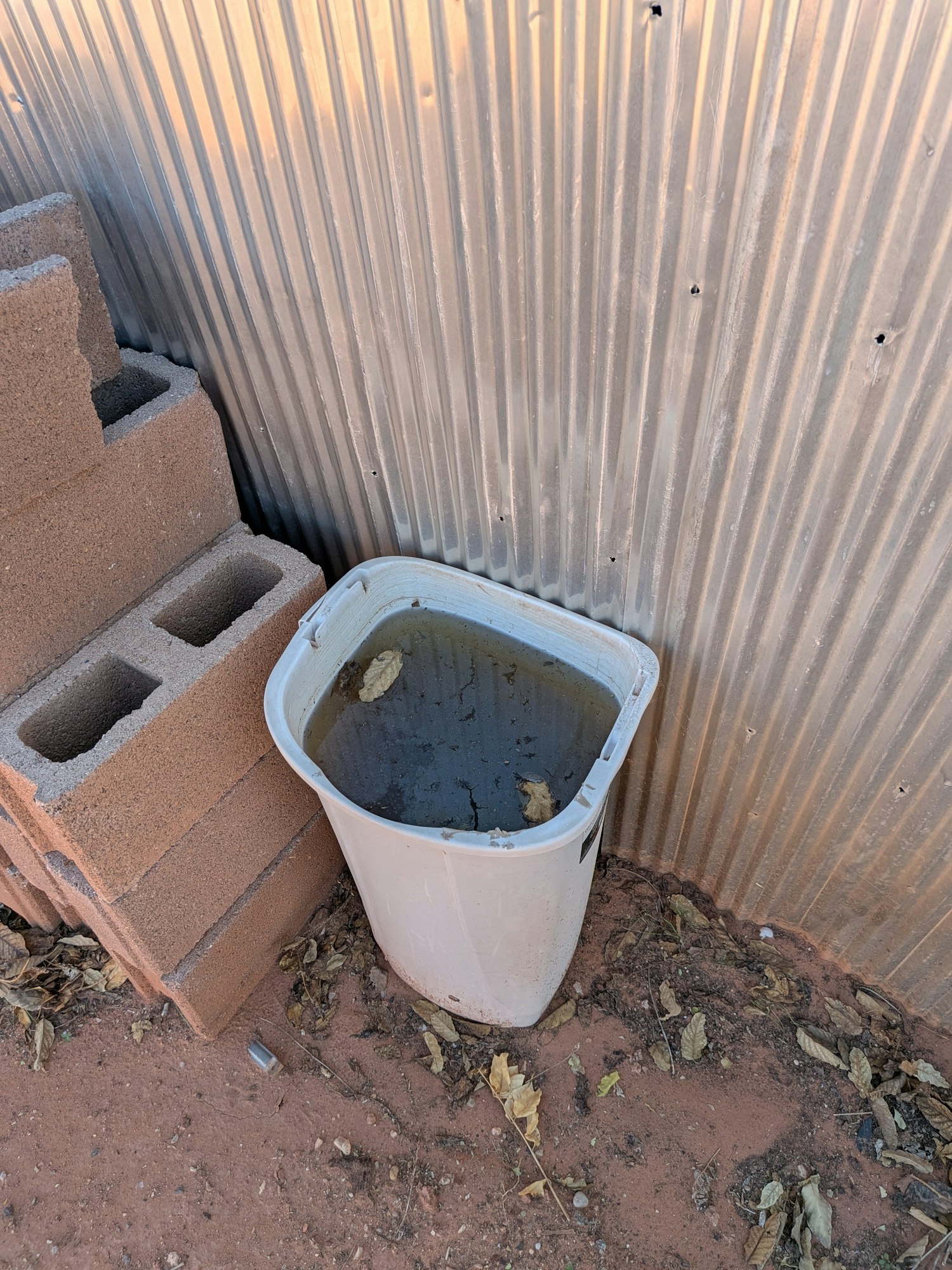 A plastic bin filled with muddy water and leaves, placed next to cinder blocks, near a corrugated metal wall.