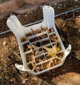 An upside-down plastic step stool covered with leaves containing stagnant water with Aedes aegypti larvae.