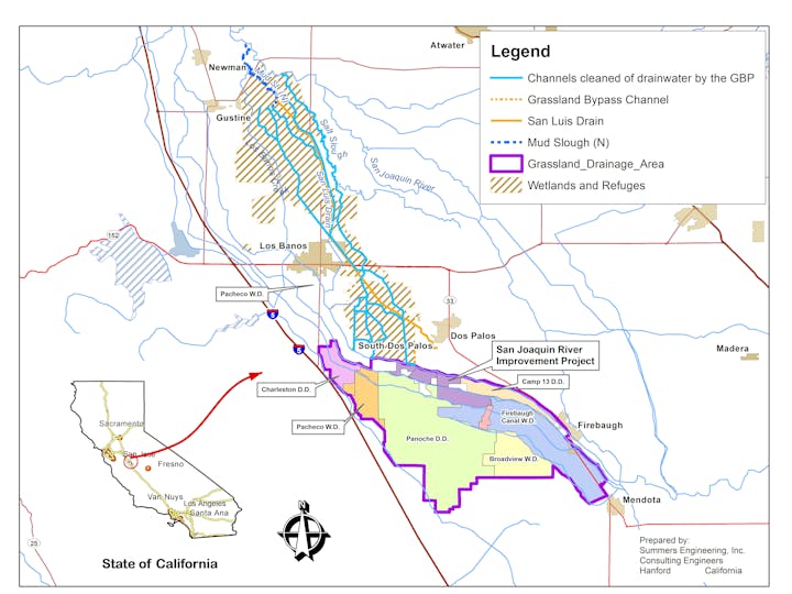 May contain: plot, vegetation, and plant