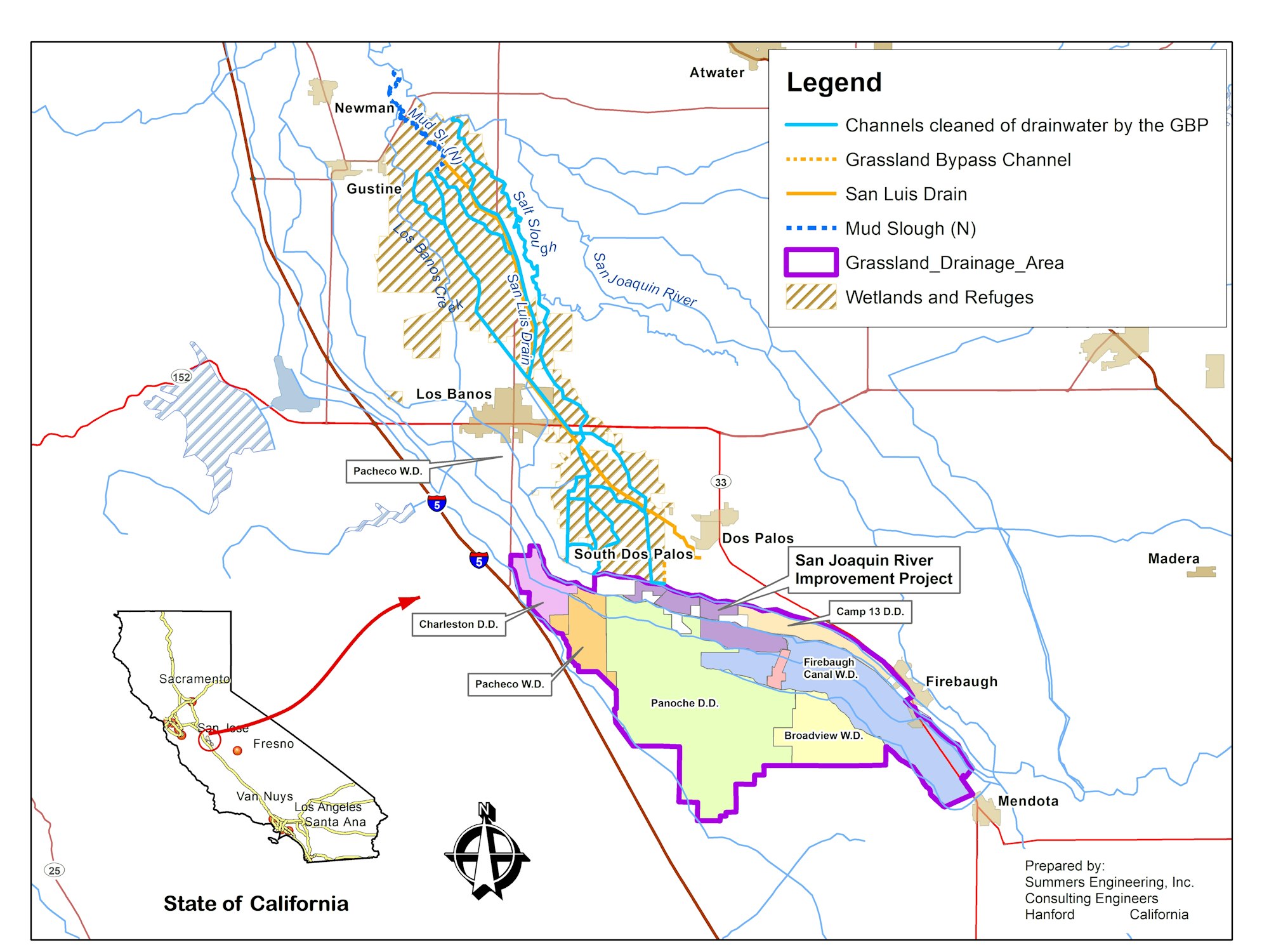 May contain: plot, vegetation, and plant