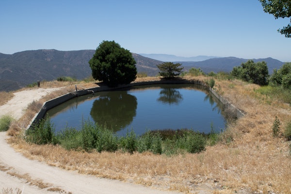 May contain: water, nature, reservoir, and outdoors