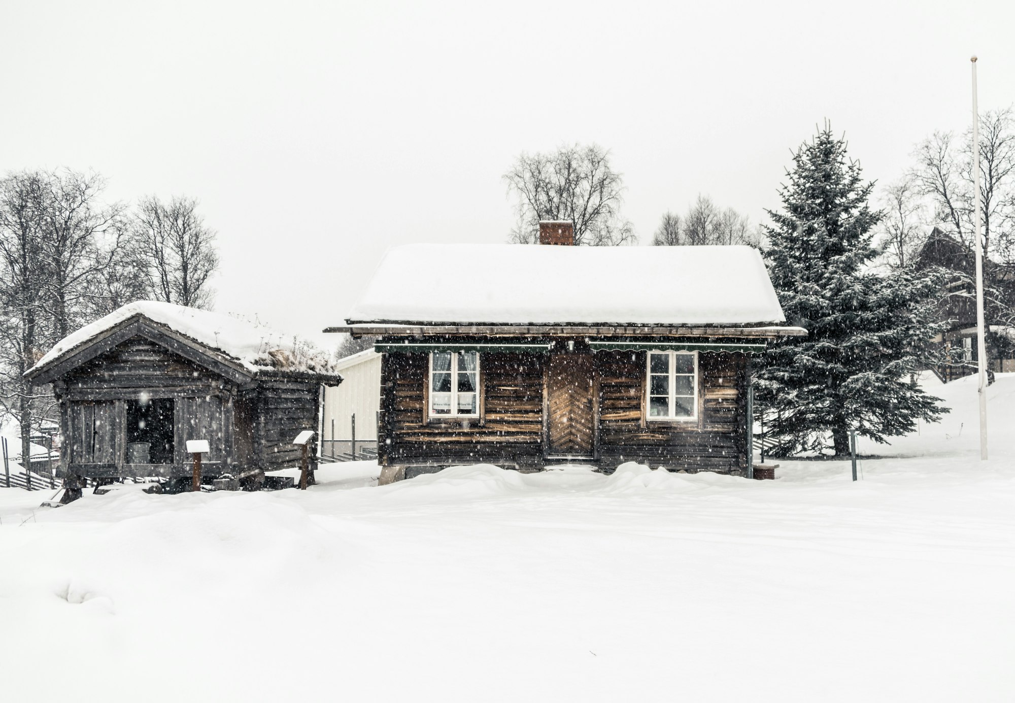 May contain: nature, outdoors, housing, building, human, person, and house