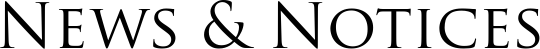 A black cat stretching with its tail up and front legs extended.