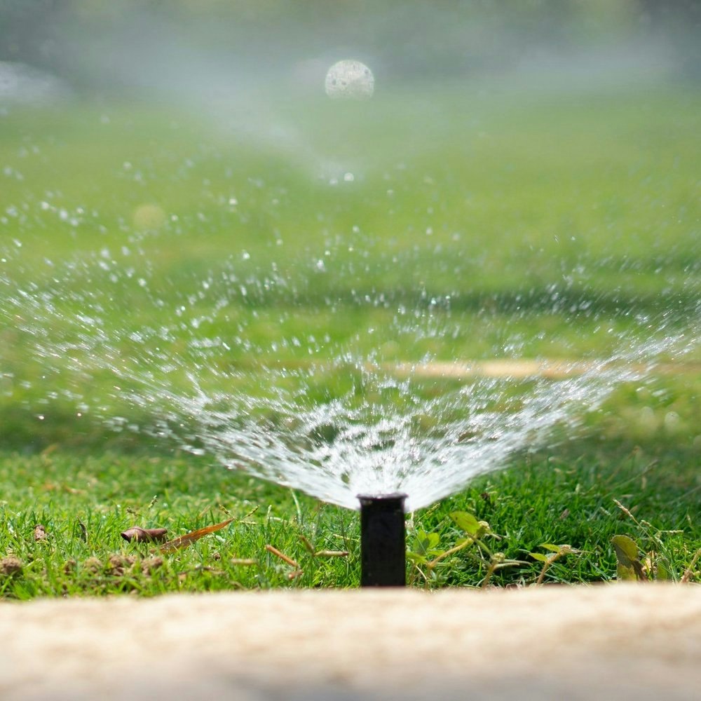 May contain: water, machine, grass, plant, and sprinkler