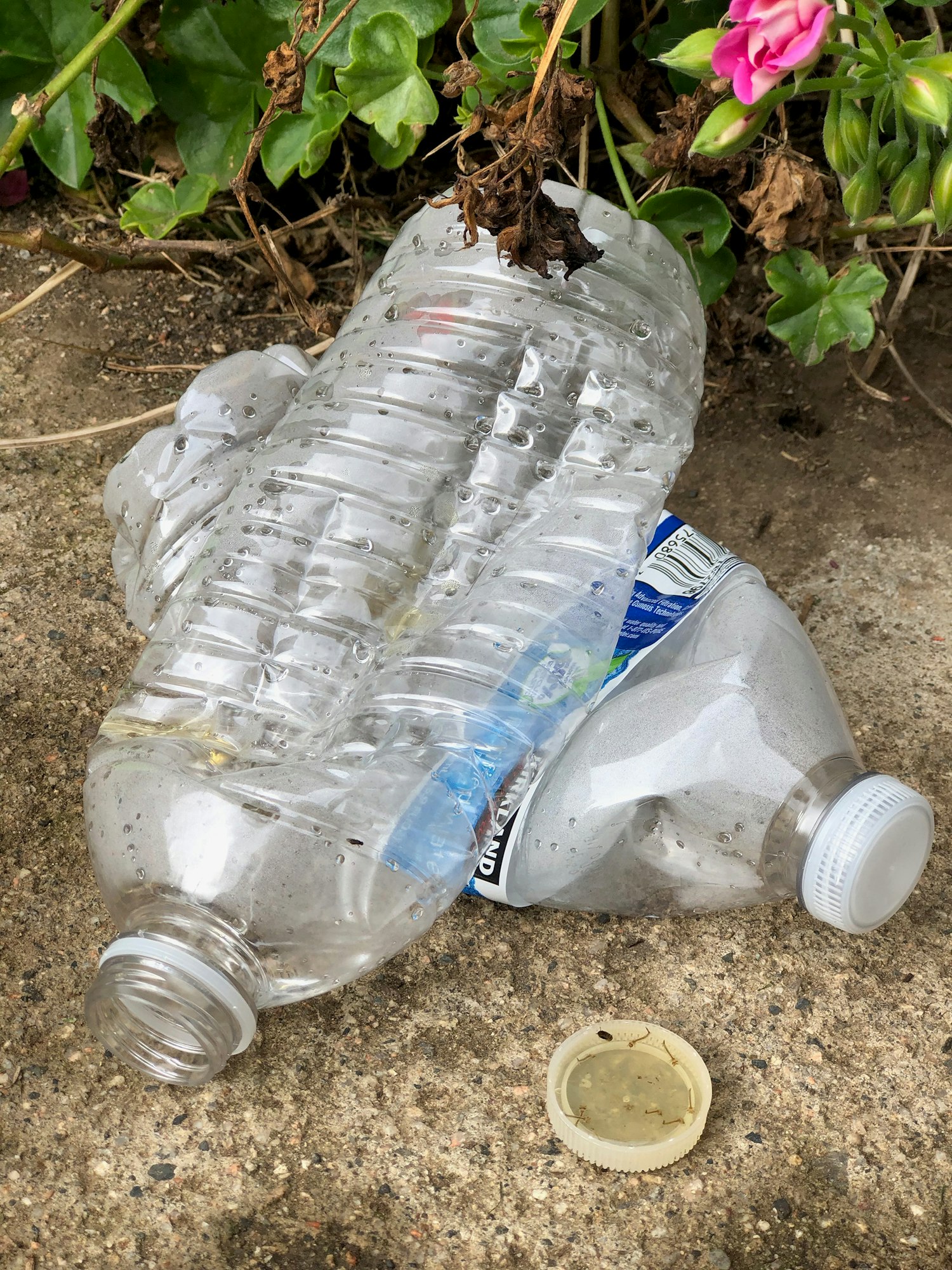 Crushed plastic bottles and a bottle cap on the ground beside plants.