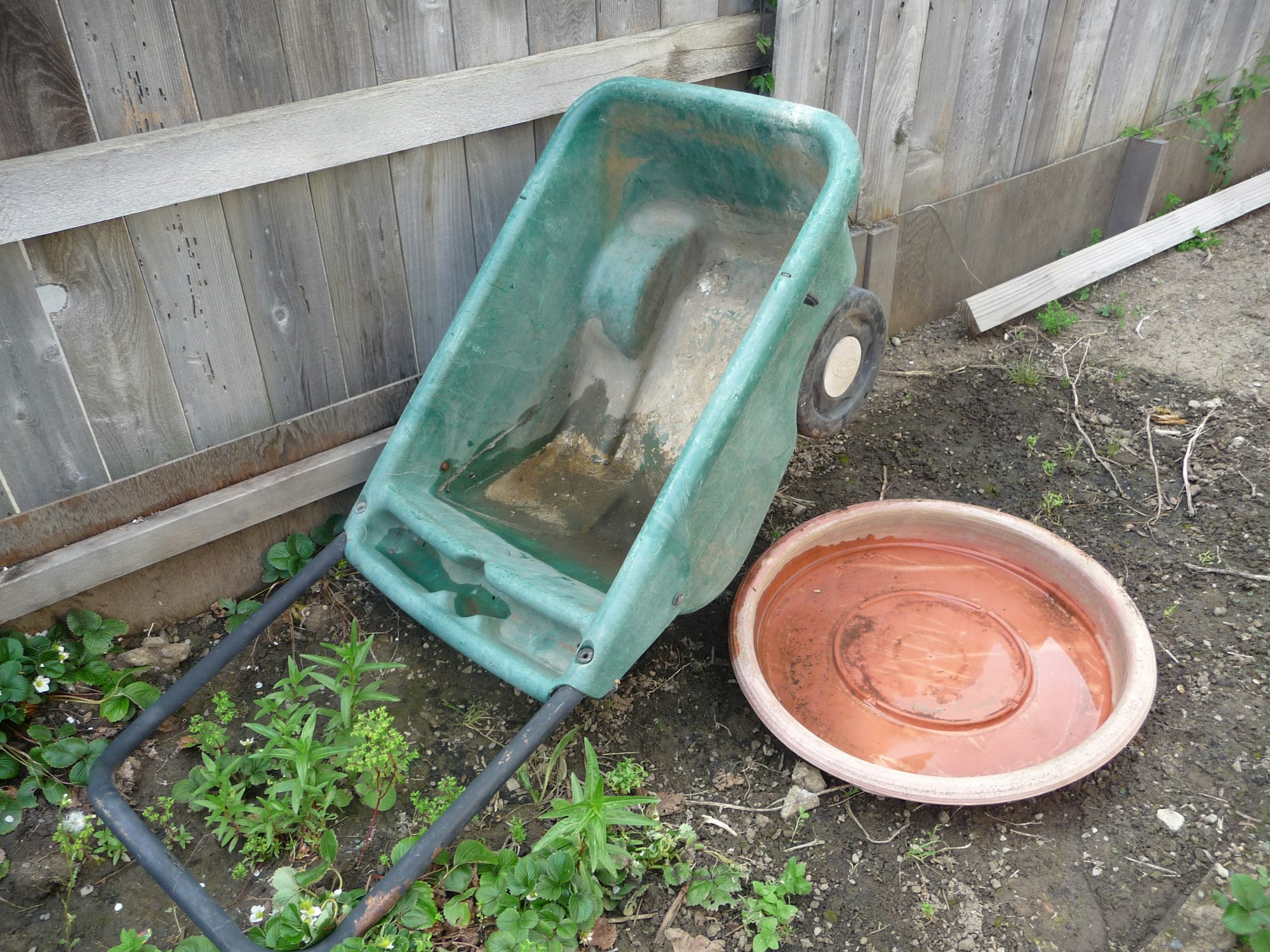 A green wheelbarrow tipped over next to a round plastic basin with water, placed against a wooden fence and some ground vegetation.