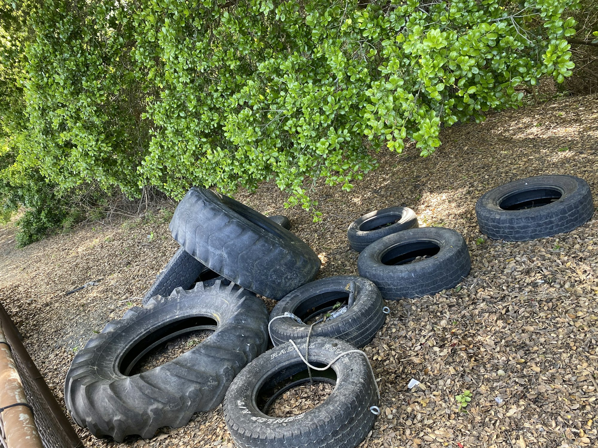 Pile of large tires on ground surrounded by foliage.