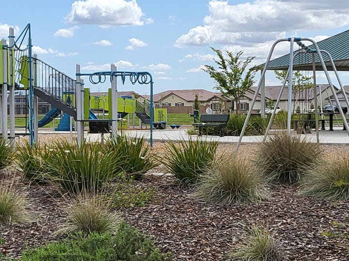 May contain: plant, person, human, grass, and agavaceae