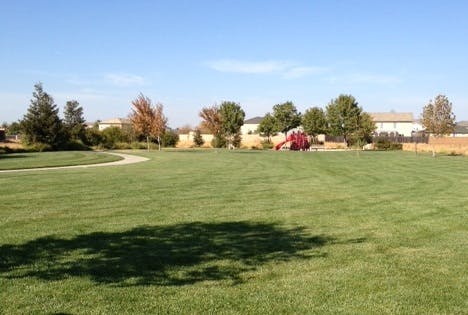 May contain: grass, plant, outdoors, field, vegetation, green, nature, and land