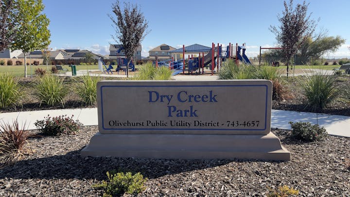 May contain: grass, nature, outdoors, park, plant, play area, outdoor play area, bench, furniture, and person