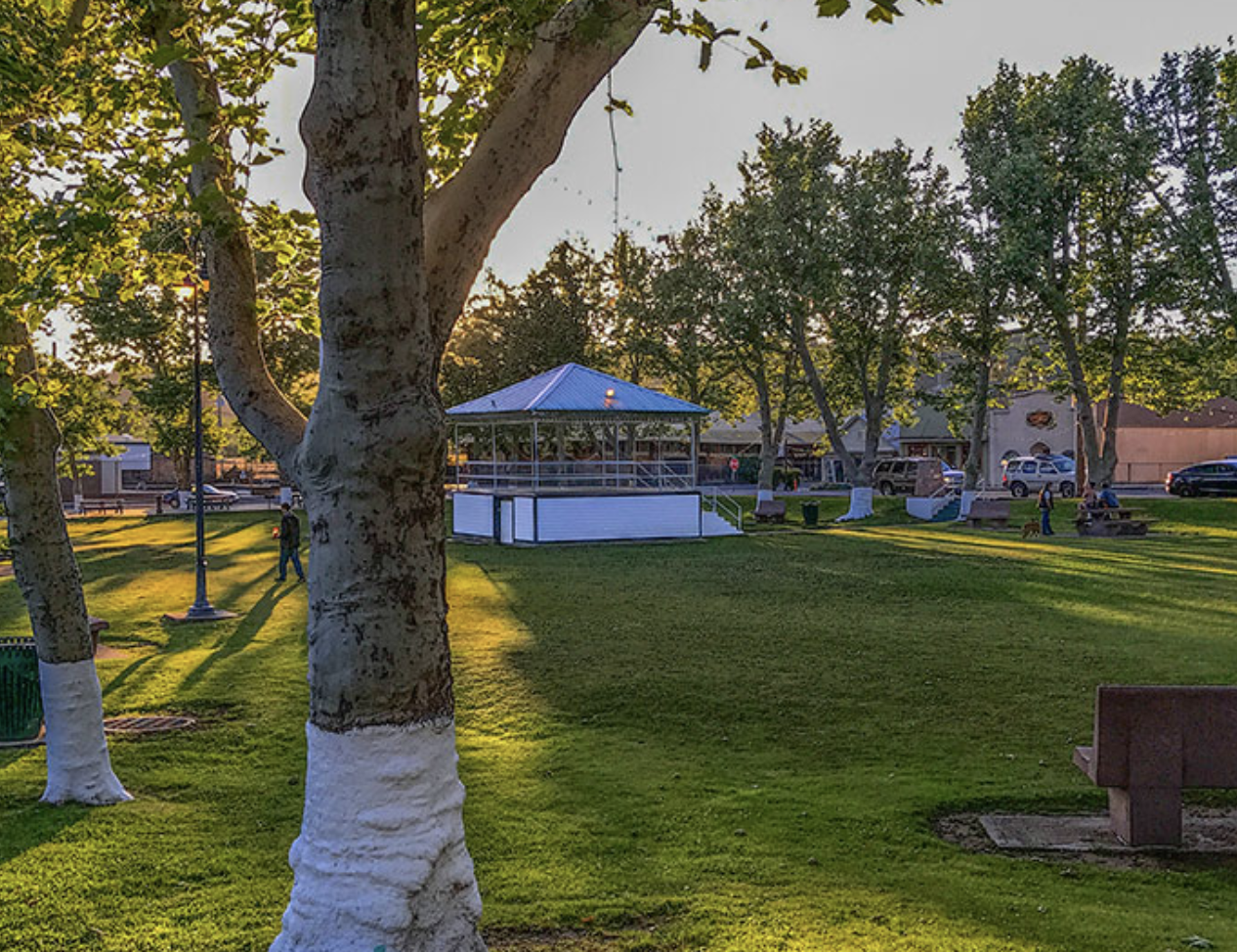 Photo of Westside park facing NW, sycamore trees, bench, grass, gazebo