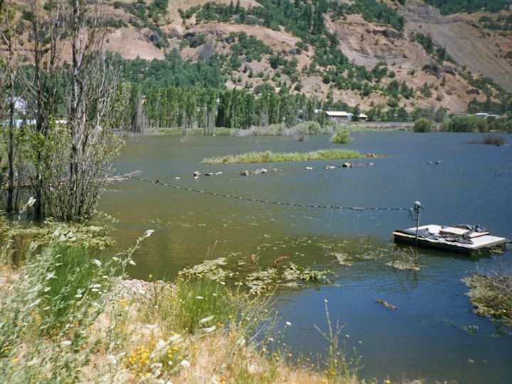 A small wooden dock on a flooded lake surrounded by trees and hills in the background.