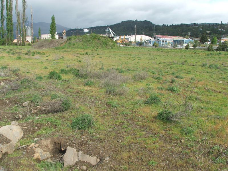 A grassy field with scattered shrubs, slightly cloudy sky, and industrial buildings in the background near a hill.