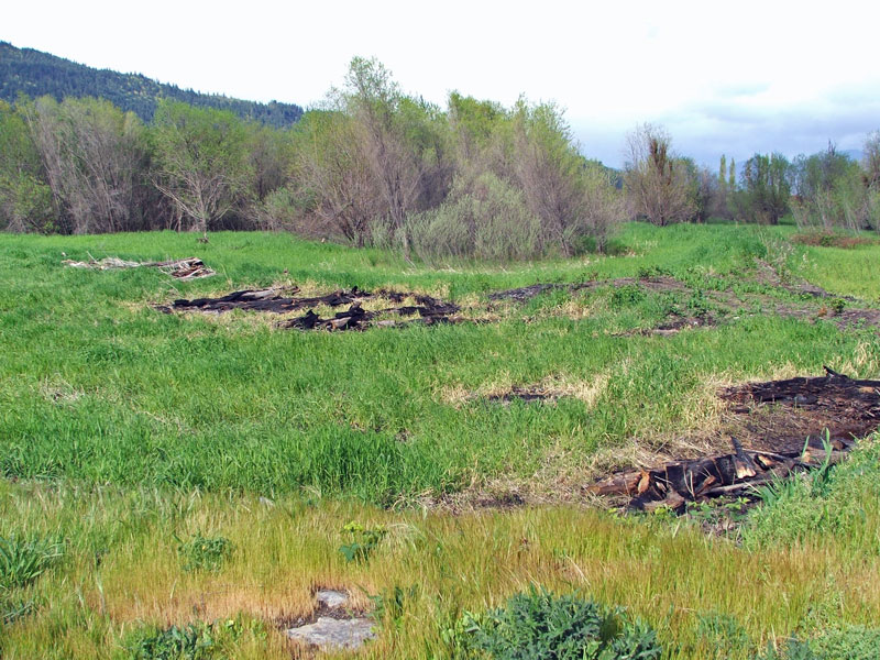 A grassy field with patches of charred debris and scattered grass, surrounded by dense trees and hills in the background.