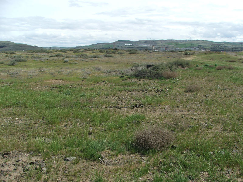Rocky terrain with sparse vegetation, hills in the background under a cloudy sky.