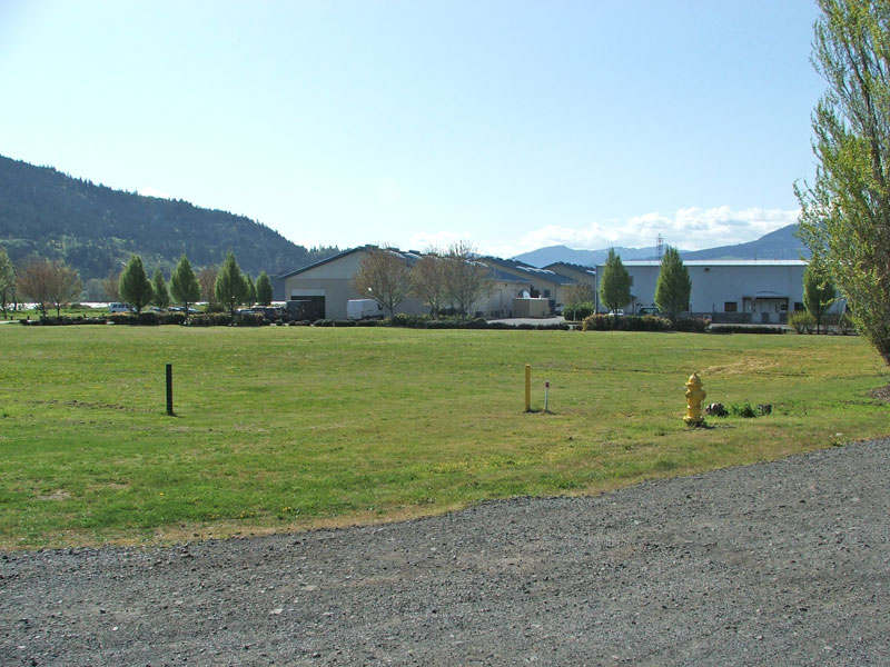 A grassy field with a yellow fire hydrant, a gravel path, trees, and buildings in the background under a clear sky.