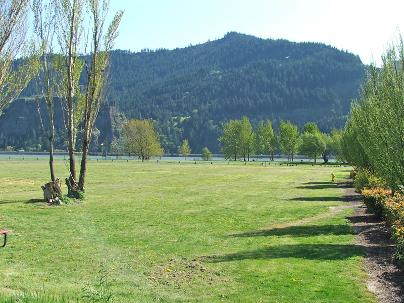 A grassy park with trees, a bench, and a river, set against a backdrop of forested hills.