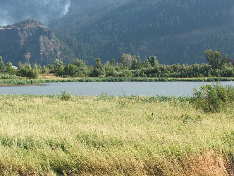 A grassy field beside a calm lake, with trees and distant hills under a smoky sky.