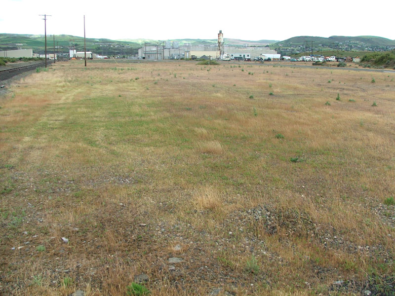 Grassy field with scattered shrubs, power lines, and industrial buildings in the background under overcast sky.