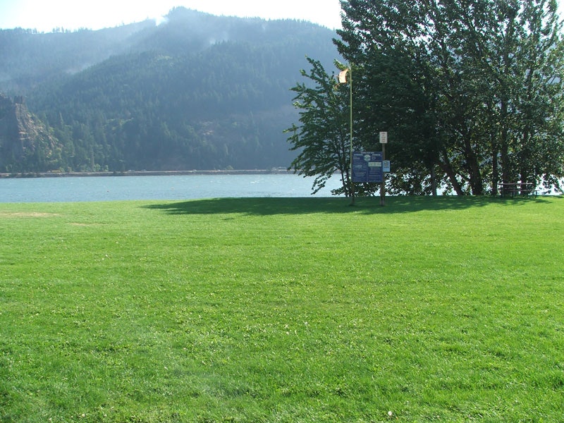 A grassy field with trees, river, and mountains in the background under a clear sky.