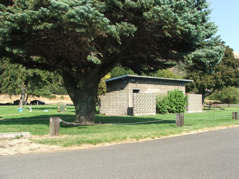 A tree next to a small building with lattice walls in a grassy park area. There's a picnic table in the background.