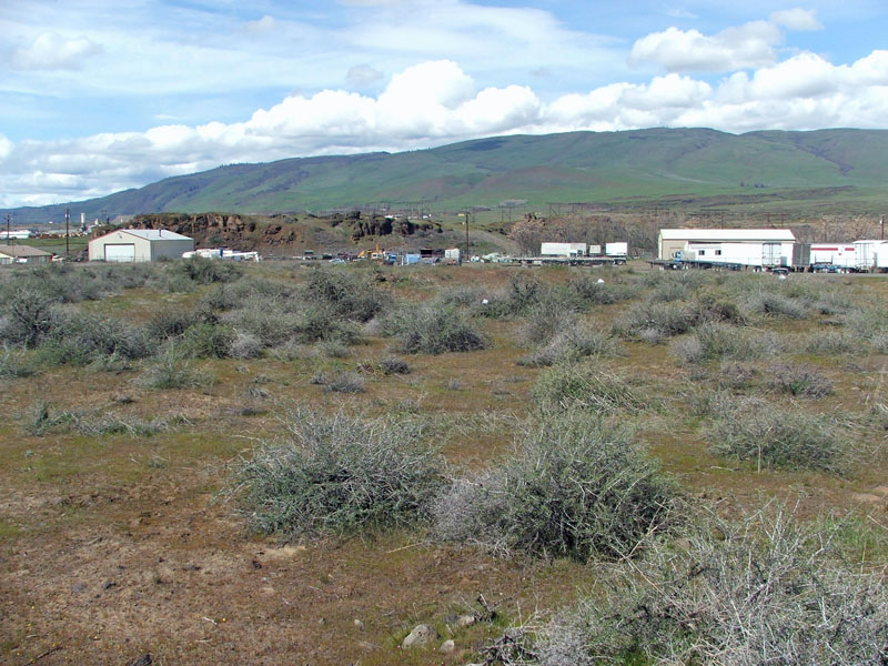 Sparse desert vegetation in the foreground, with industrial buildings and green hills in the background under a cloudy sky.