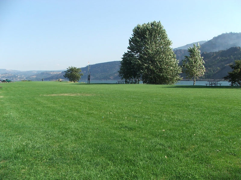 A wide grassy field with trees, picnic tables, and hills in the background under a clear blue sky.