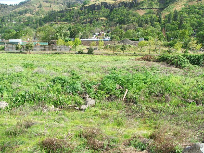 A grassy field with some shrubs, distant trees, and hills in the background under a clear sky.