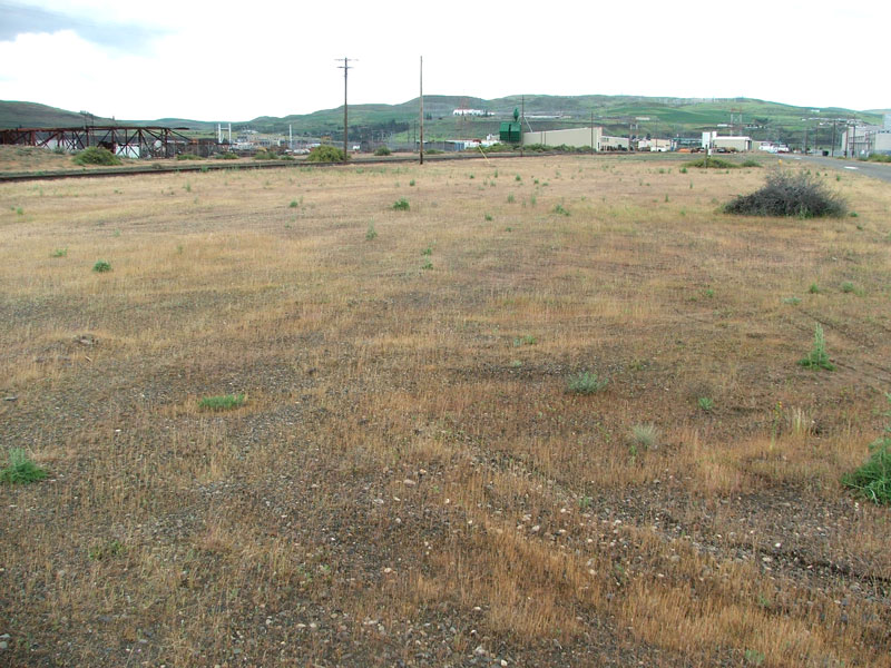 An empty, dry field with sparse grass and a shrub, industrial buildings, and hills in the background under a cloudy sky.