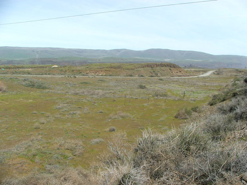 A grassy, wide-open landscape with hills, a road, power lines, and sparse vegetation under a clear sky.