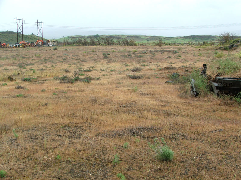 A dry grassy field with sparse vegetation, distant construction equipment, and power lines in the background.