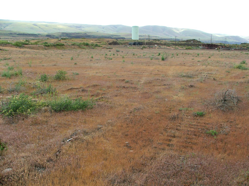 Open field with dry grass and scattered shrubs, a tall cylindrical tank in the distance, and rolling hills in the background.